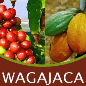 Wagajaca